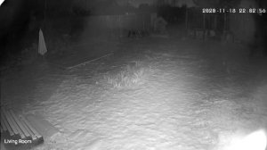 ВОРЫ на даче! Попались в ловушку.