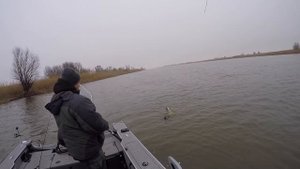 ЗАБАГРИЛИ СЕЗОН ! Рыбалка в дельте Волги