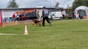 ПП 204 Wolfenkraft CHIBA / Моно немецких овчарок ПК БРОННИЦЫ 10.08.2024