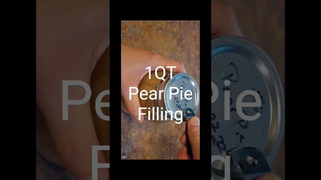 Pear Pie | Consuming The Pantry