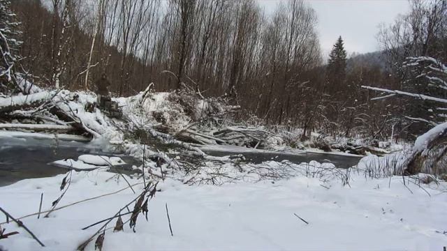 PAXUS. Коротко о поездках в тайге, с семьей и детские покатушки смотреть онлайн