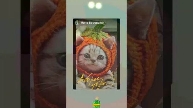 Радуга ура смотреть онлайн