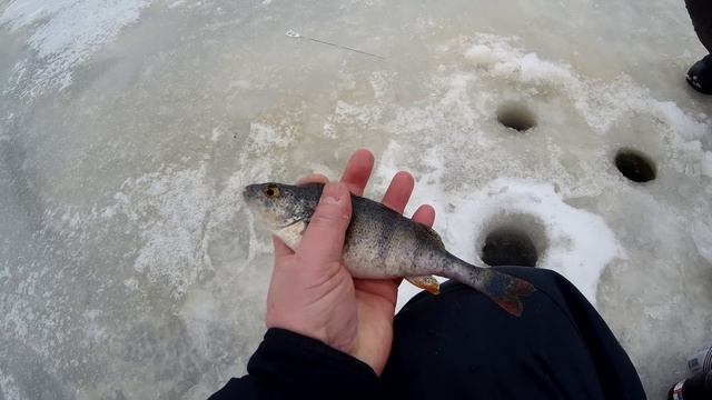 Химкинское вдх кратко о рыбалке 29.01.2020 смотреть онлайн
