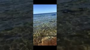 Египет 2023. Шарм-эль-Шейх Pickalbatros Royal Grand Sharm - Adults Friendly 16 Years Plus