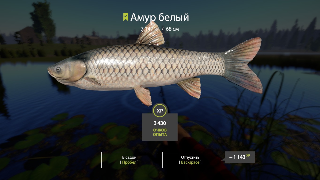 Русская рыбалка 4 как поймать