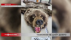 Запрещённые к ввозу товары регулярно выявляют на иркутской таможне