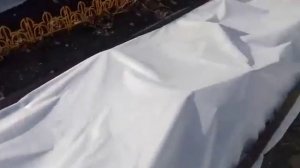 Подготовка роз к зиме. Южный Урал