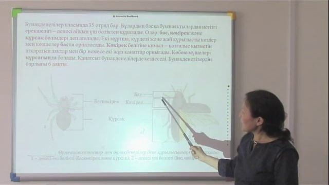 Агайдарова Райхан, Бунақденелілер класы смотреть онлайн