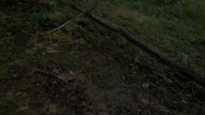 В поиске сокровищ / пиратский клад / путешествие