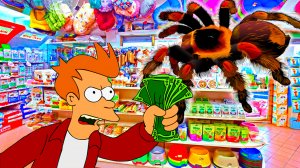 Как я покупал Паука. Птицеед сбежал в первый день?