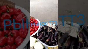 ТТЗ базар. ТАШКЕНТ