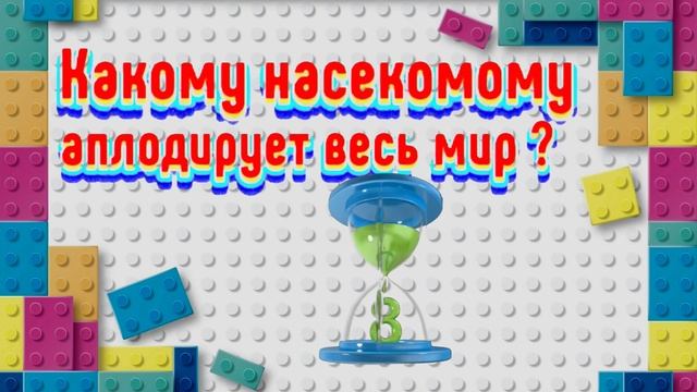 Вопрос Ответ 2 выпуск.mp4