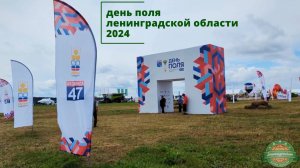 День поля Ленинградской области - 2024