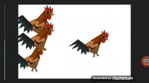 Танец петухов