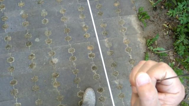 июнь Работа с рамкой от Е Доктора Часть 3 смотреть онлайн