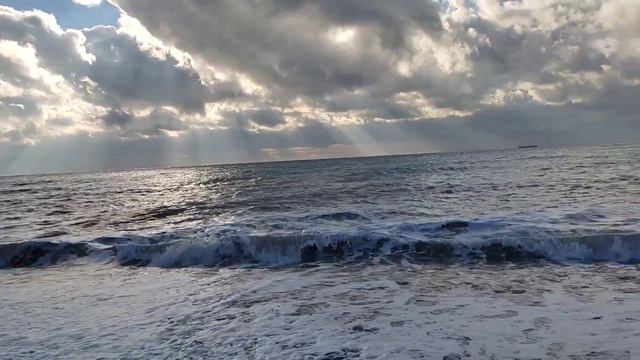 черное море в Шепси и форель, убежавшая из Сочинского рыбхозяйства. форель прямо на берегу😢
