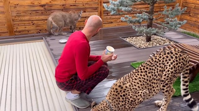 Герда съела у Саши всю еду! смотреть онлайн