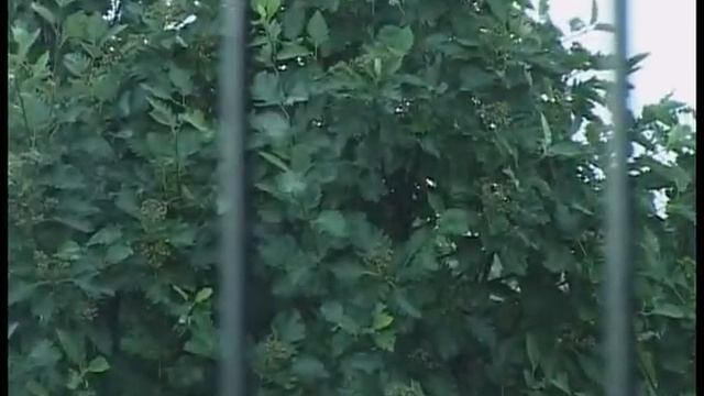 Храм Св. Равноапостольных Кирилла и Мефодия.Донецк. Макеевка. смотреть онлайн