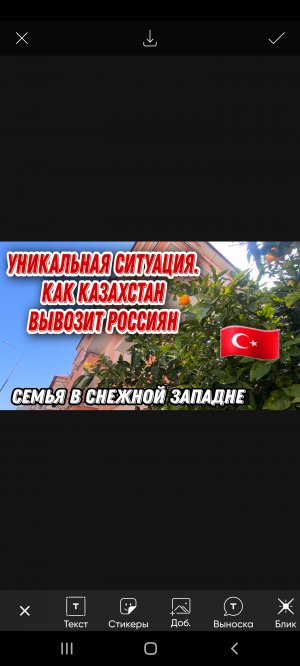 Турция готова организовать 3хстороннюю встречу президентов России, Украины и Турции.