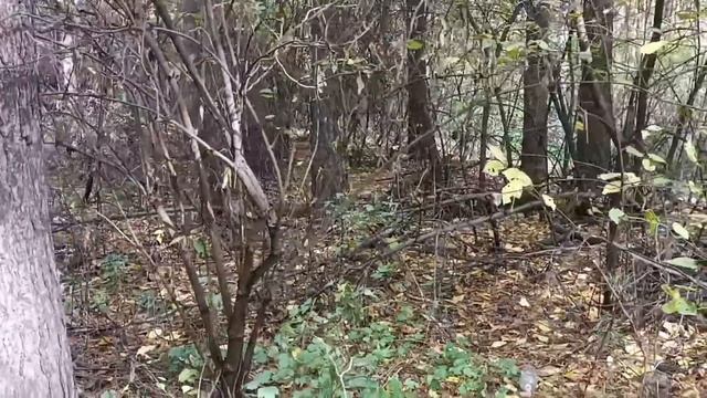 Назвал меня БЫСТРОХОДКА а на Деле оказалась ЛУЗЕРШЕЙ!?