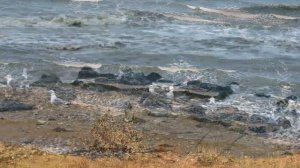 Берег Таманского полуострова Керченского пролива