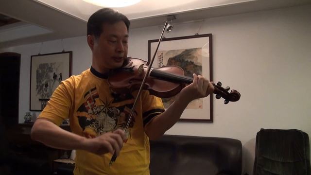 sony hdr-XR550 Bach Sonata I смотреть онлайн