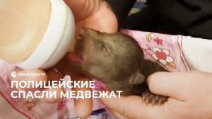 В Коми полицейские спасли медвежат