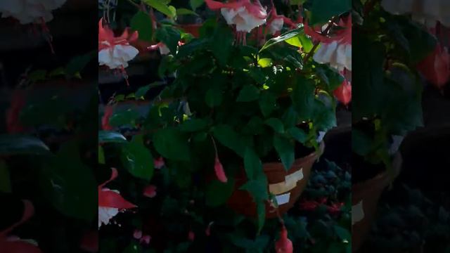 21 августа 2022 г. смотреть онлайн