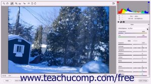 Photoshop Elements 15 Tutorial Adjusting White Levels Adobe Training