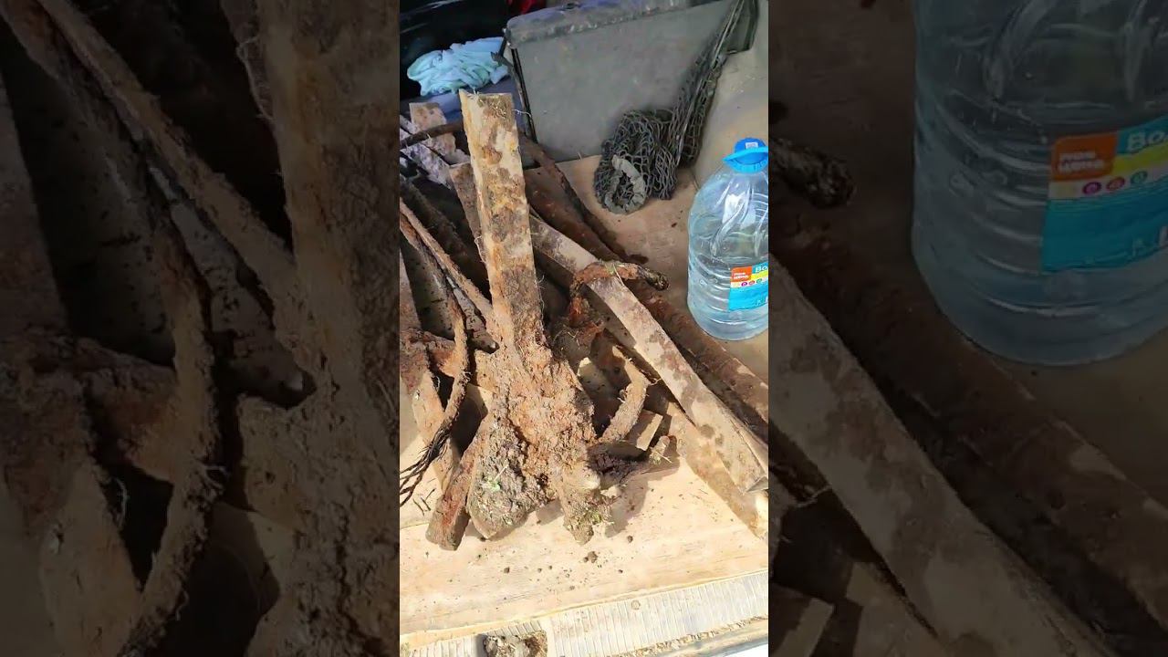 #металокоп Новый помощник уже в деле смотреть онлайн