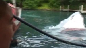 Акула напала на туристов в лодке!