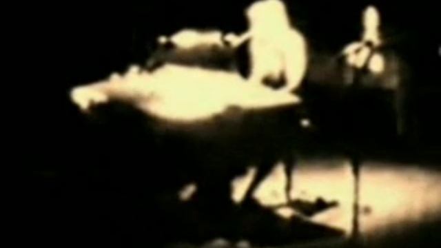 I'M Still Alive (Я всё ещё жив) & АВВА & Harmonica Tombo Unichromatic смотреть онлайн