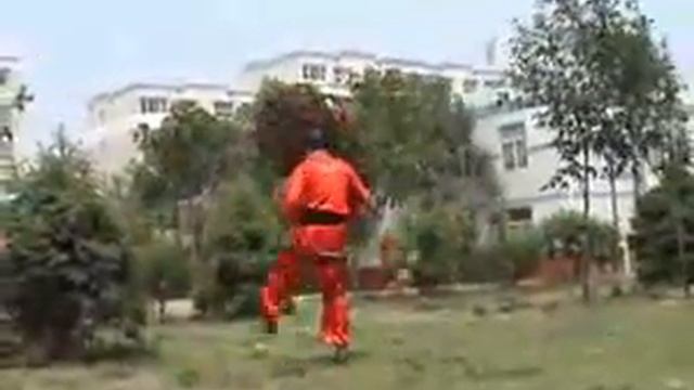 Хопили   Гром и Молния.flv смотреть онлайн