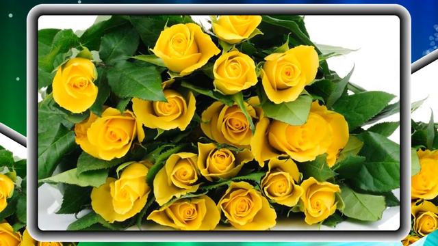 Цветы для милых дам смотреть онлайн