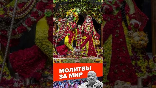 МАХАМАНТРА НА БЛАГО МИРА #shorts #бхакти #святоеимя #махамантра #киртан #Нрисимхи