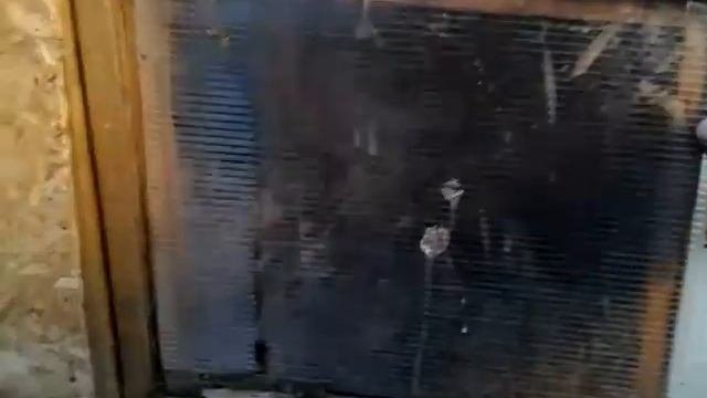 Кролики и курицы без затей зимой