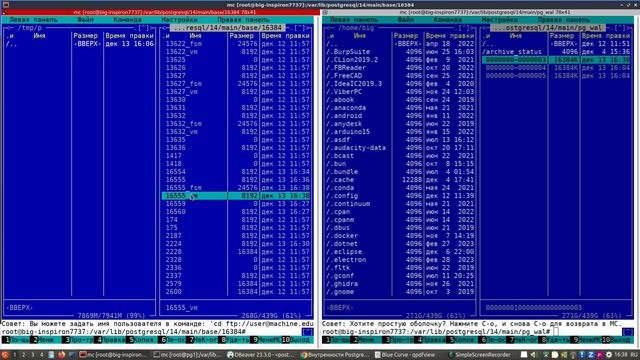 Как Postgres записывает данные