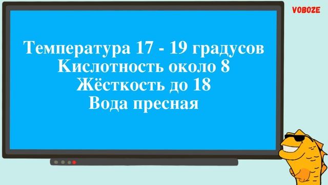 Красавец Малоазиатский Тритон Содержание в акватеррариуме Чем кормить Совместимость