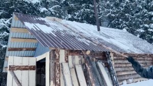 Wintering in a Log Cabin in a Wild Siberian Forest - Good Old Friend Came