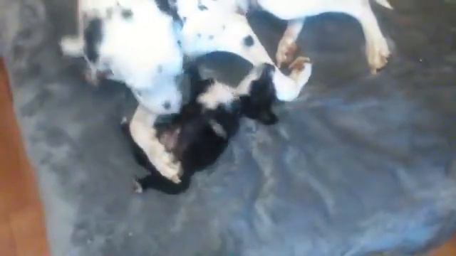 Девочка Алекса с мамой