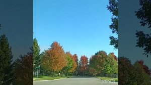 "Хүнэй наhан" Үгэнь М.Самбуевай, хүгжэмынь Ч.Павловай - Елена Цыдыпова