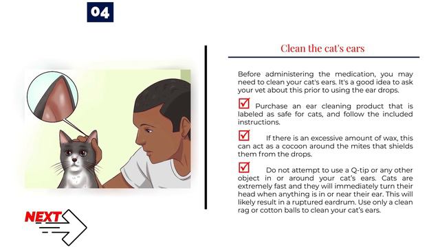 How to Get Rid of Ear Mites in a Cat | Daily Needs Studio смотреть онлайн