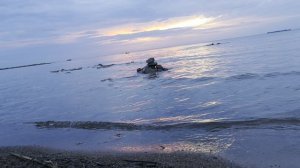 Побережье Невской губы