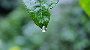 Вызыватель дождя.  КИТАЙСКАЯ ПРИТЧА