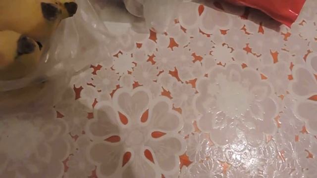 Глобус Продуктово хозяйственные покупки! смотреть онлайн