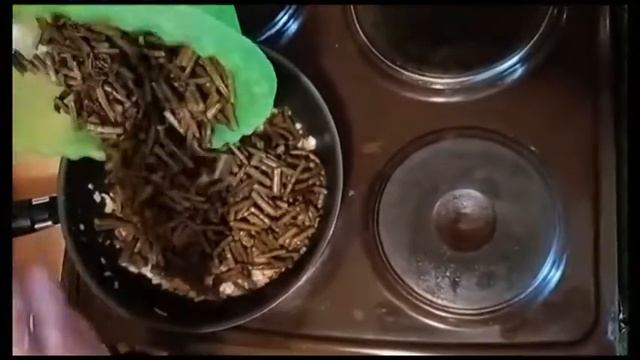 Салат из папоротника орляк