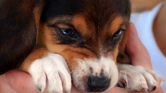 Музыка Русское Радио. Реальный хит! Тащусь! смотреть онлайн