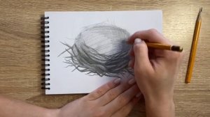 Как нарисовать гнездо карандашом | Рисунок для начинающих поэтапно