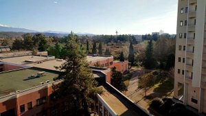 ОТДЫХ В АБХАЗИИ в январе