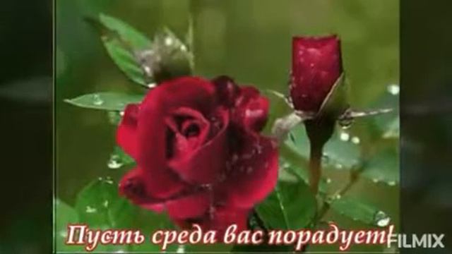 100010127-LP Доброго вечера среды (1.33) смотреть онлайн